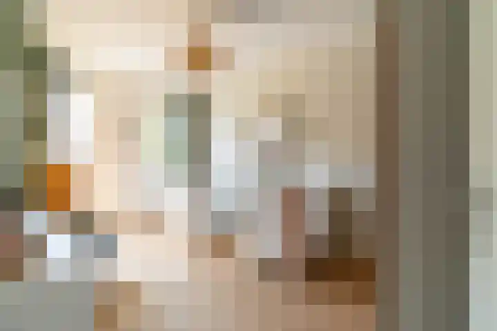 Schulk 11 Hooglanderveen thumbnail 31