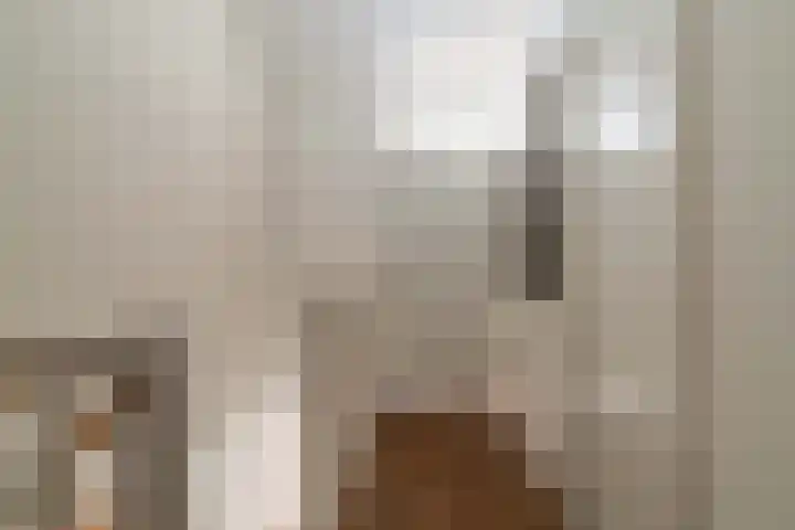 Schulk 11 Hooglanderveen thumbnail 40