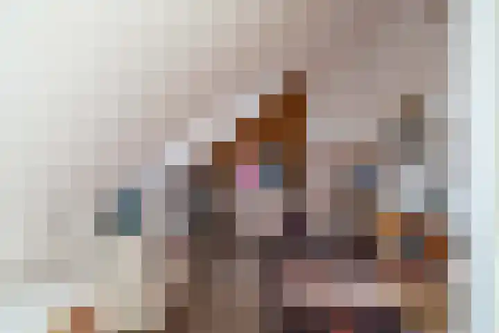 Schulk 11 Hooglanderveen thumbnail 41