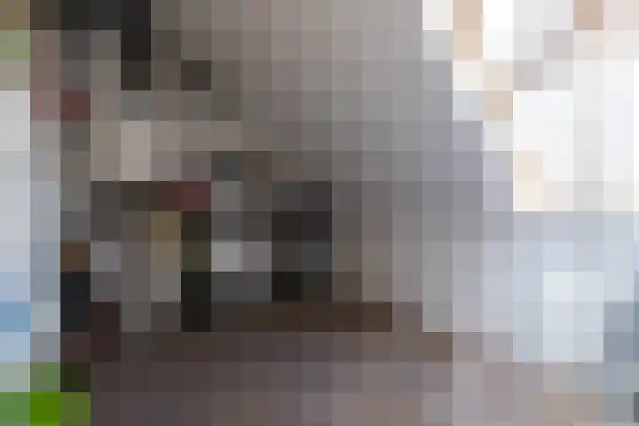 Schulk 11 Hooglanderveen thumbnail 43