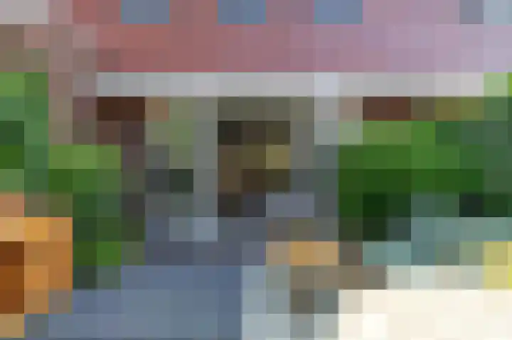 Schulk 11 Hooglanderveen thumbnail 45