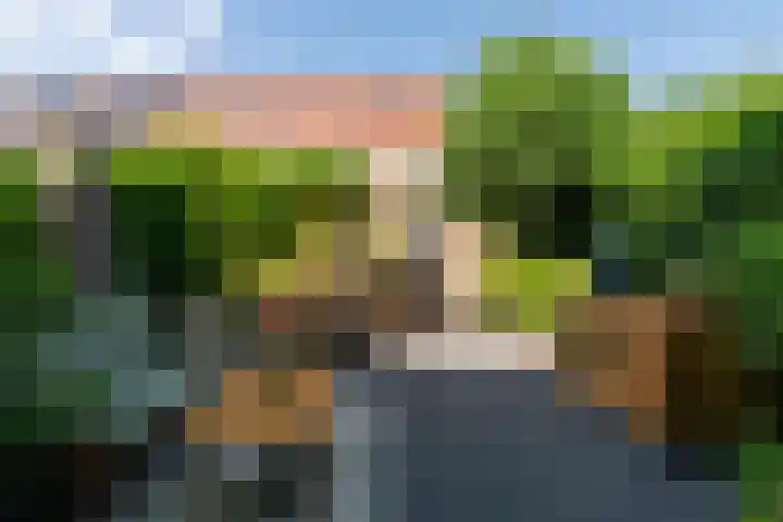 Schulk 11 Hooglanderveen thumbnail 46