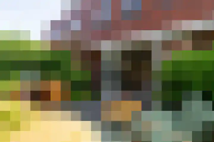 Schulk 11 Hooglanderveen thumbnail 50