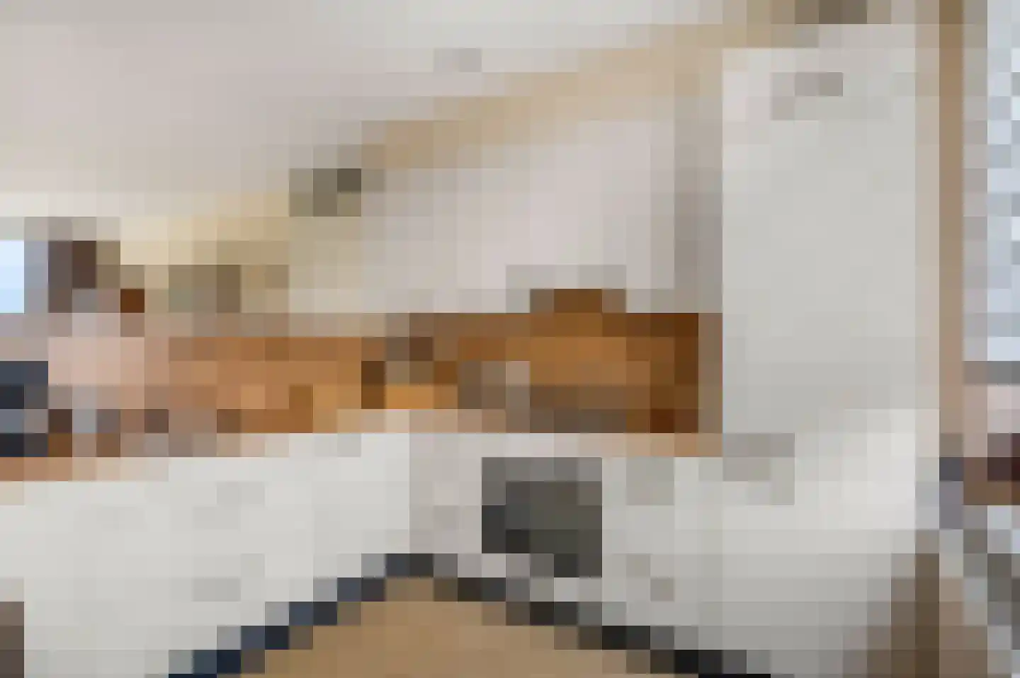 Schullenhofstraat 46 Tiel thumbnail 4
