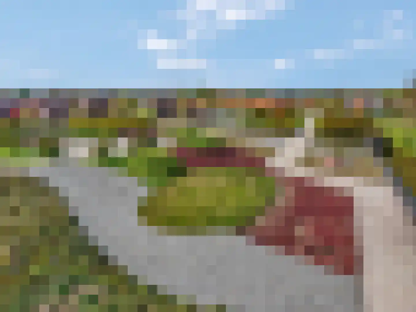 Schullenhofstraat 46 Tiel thumbnail 5