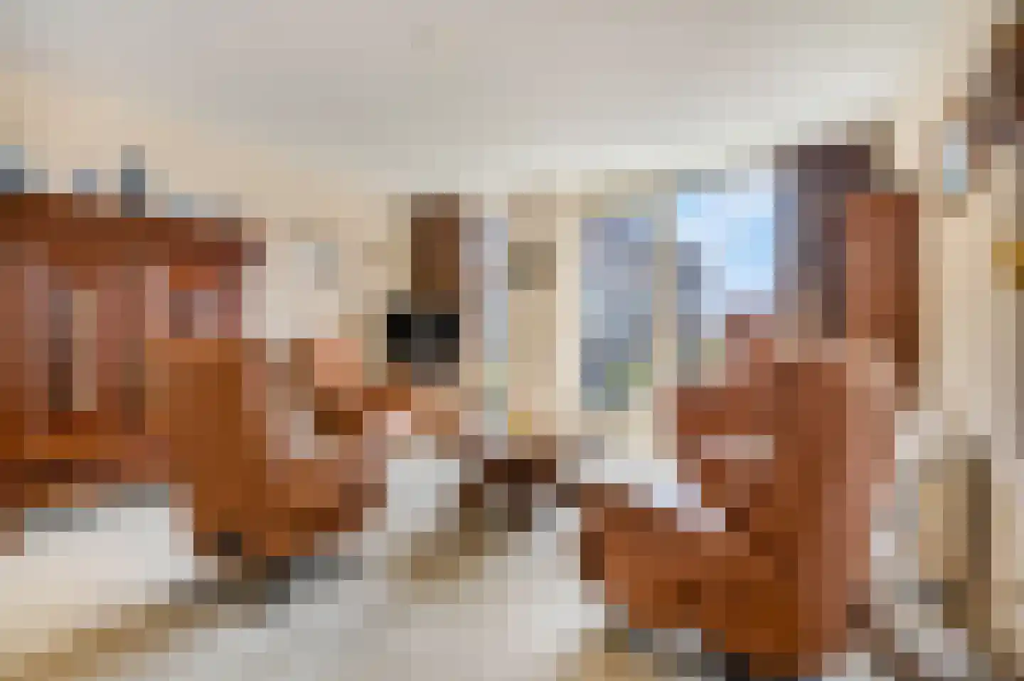 Schullenhofstraat 46 Tiel thumbnail 7