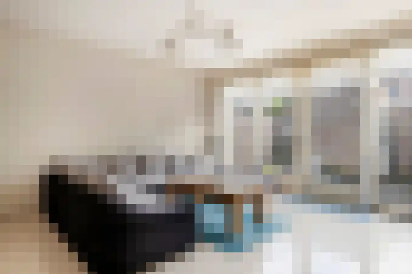 Schullenhofstraat 62 Tiel thumbnail 10