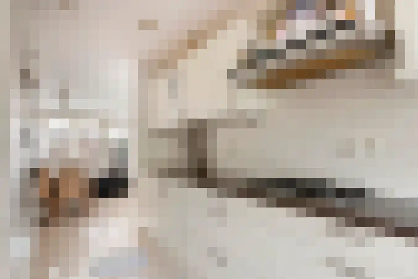 Schullenhofstraat 62 Tiel thumbnail 13