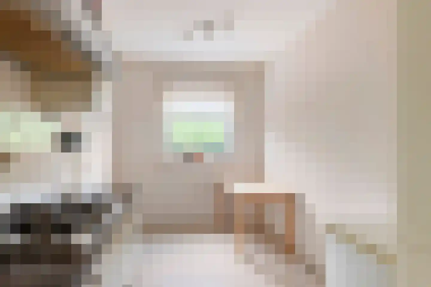 Schullenhofstraat 62 Tiel thumbnail 15