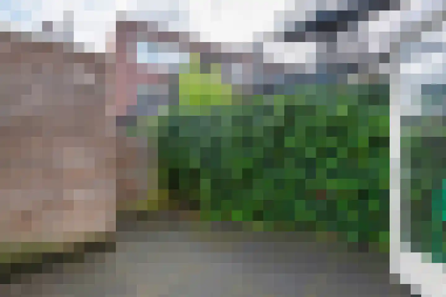 Schullenhofstraat 62 Tiel thumbnail 30