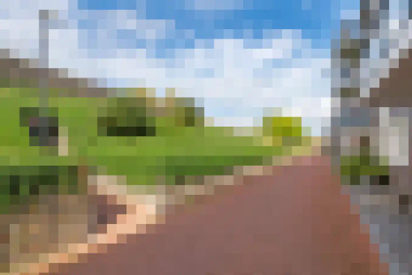 Schullenhofstraat 62 Tiel thumbnail 4
