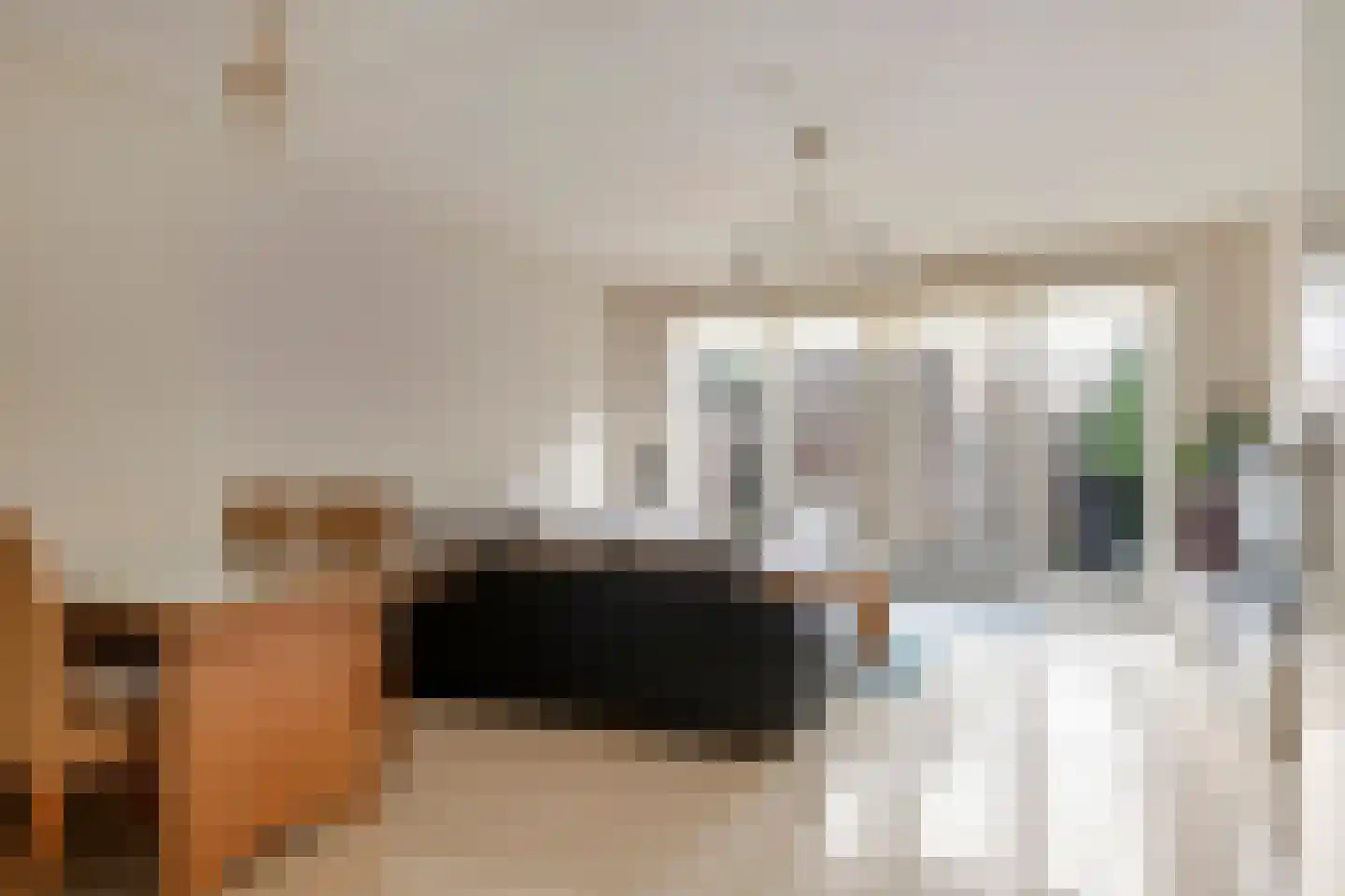 Schullenhofstraat 62 Tiel thumbnail 8