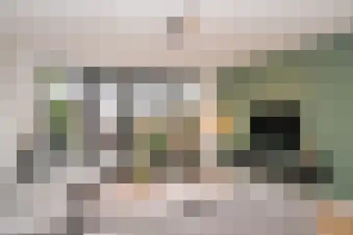 Schullenhofstraat 70 Tiel thumbnail 11