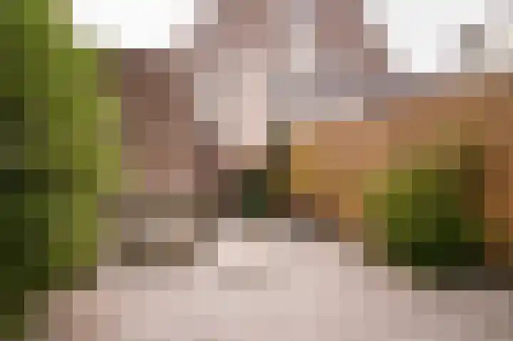 Schullenhofstraat 70 Tiel thumbnail 33
