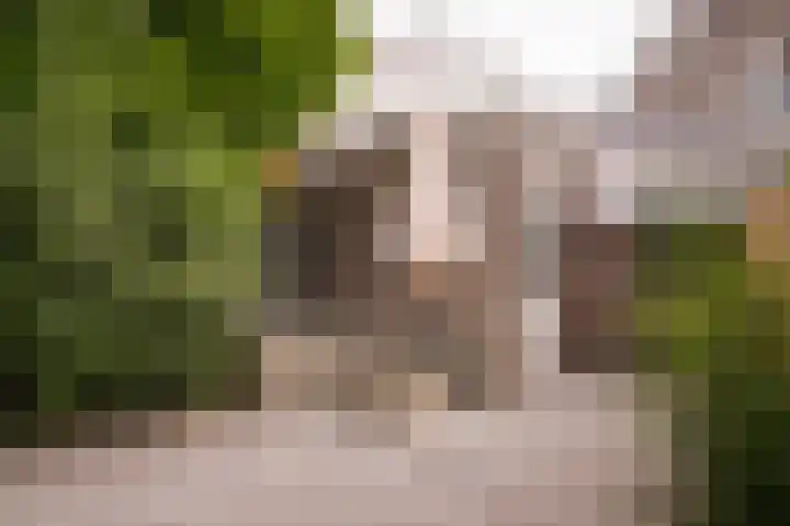 Schullenhofstraat 70 Tiel thumbnail 35