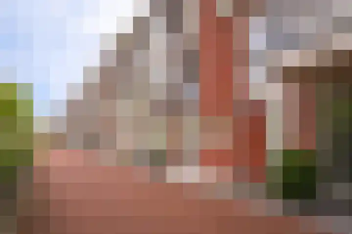 Schullenhofstraat 70 Tiel thumbnail 6