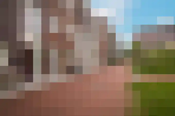 Schullenhofstraat 70 Tiel thumbnail 7