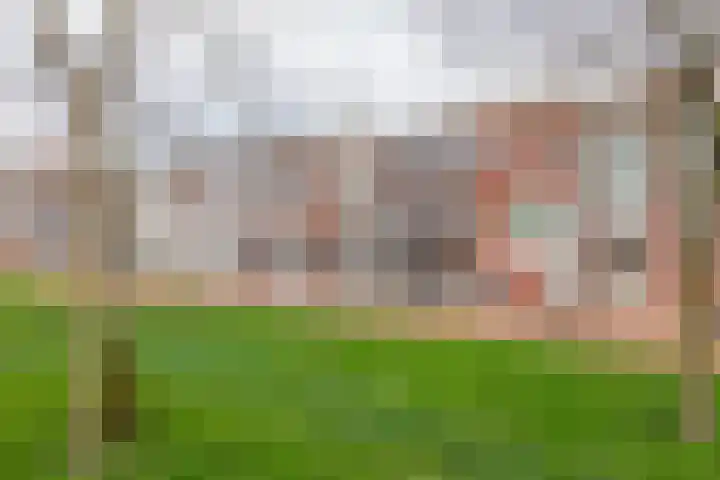 Schullenhofstraat 80 Tiel thumbnail 5