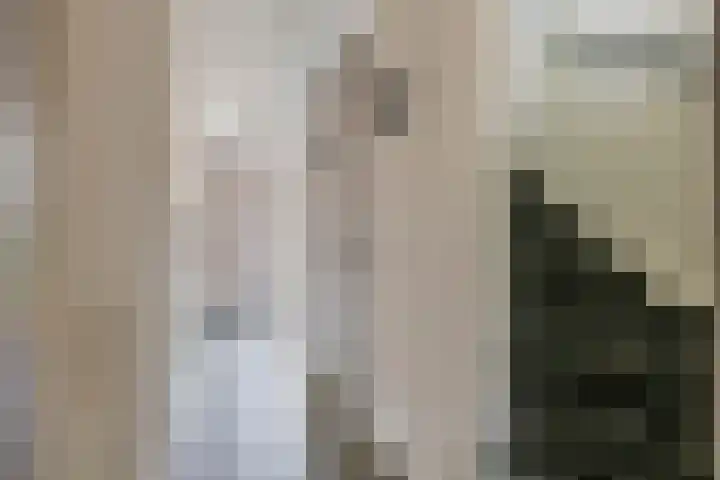 Schullenhofstraat 80 Tiel thumbnail 6