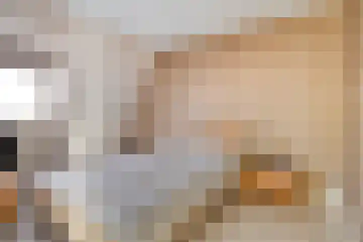 Schulpenpad 11 Sas van Gent thumbnail 14