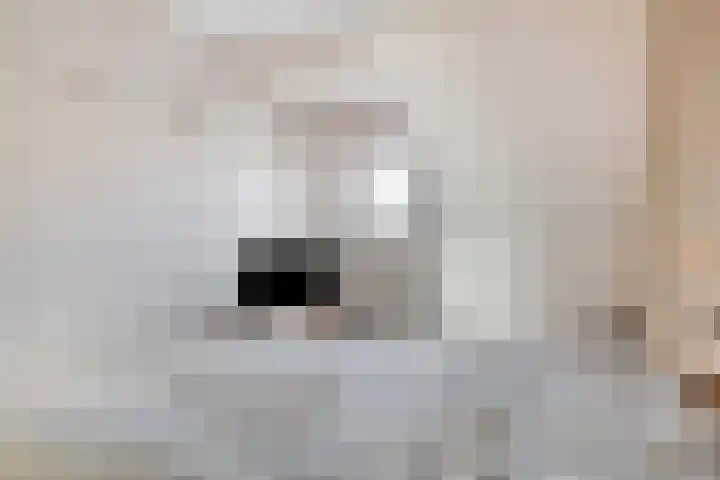 Schulpenpad 11 Sas van Gent thumbnail 15