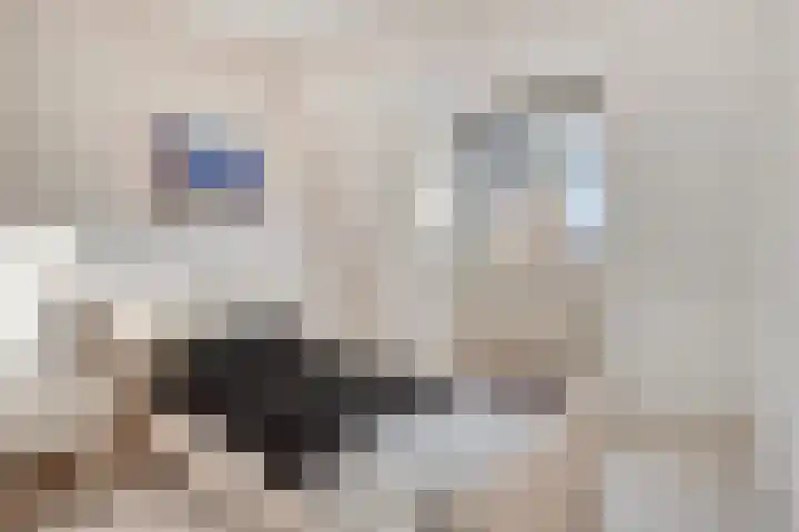 Schulpenpad 11 Sas van Gent thumbnail 16