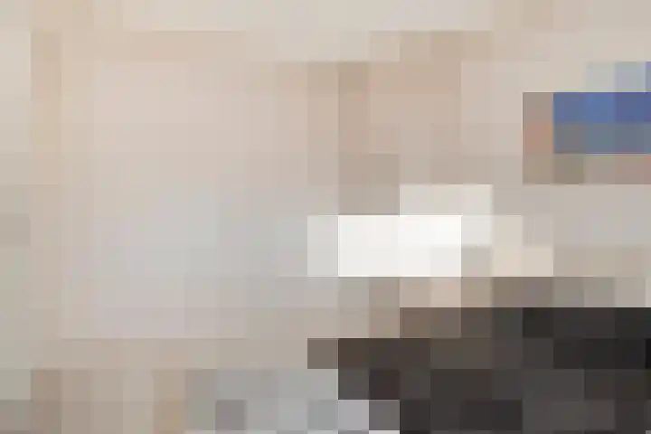Schulpenpad 11 Sas van Gent thumbnail 17