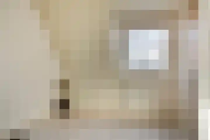 Schulpenpad 11 Sas van Gent thumbnail 18