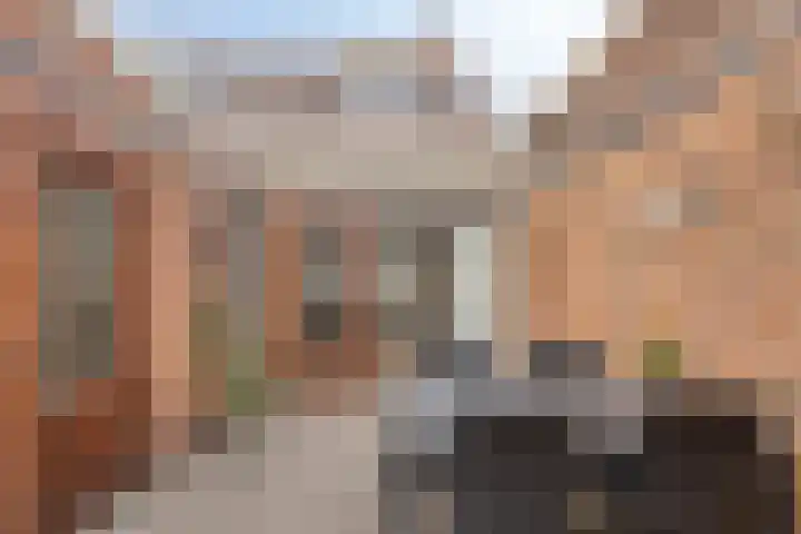 Schulpenpad 11 Sas van Gent thumbnail 20