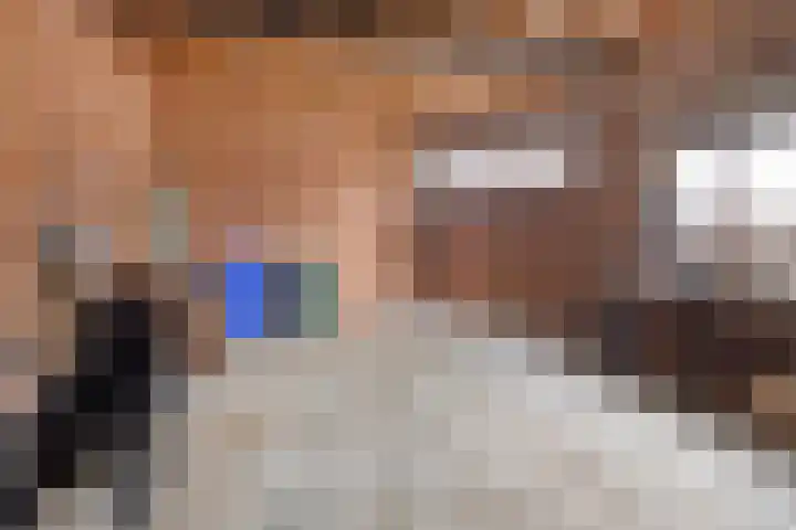 Schulpenpad 11 Sas van Gent thumbnail 21