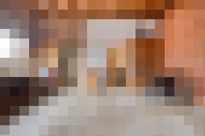 Schulpenpad 11 Sas van Gent thumbnail 22