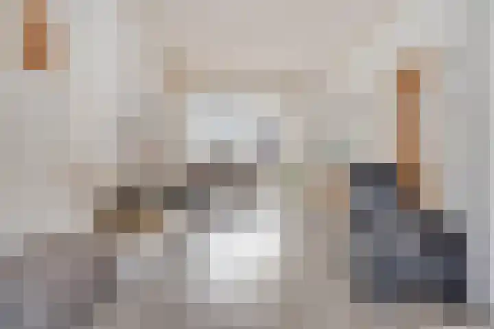 Schulpenpad 11 Sas van Gent thumbnail 4