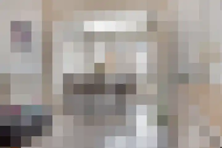 Schulpenpad 11 Sas van Gent thumbnail 5