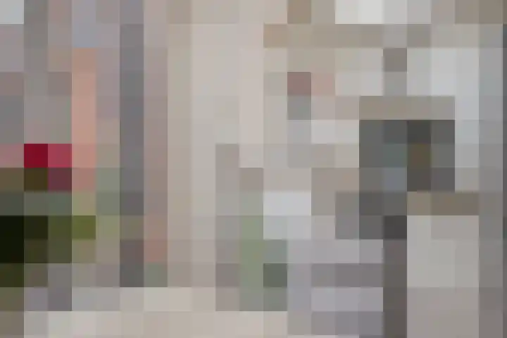 Schulpenpad 11 Sas van Gent thumbnail 6