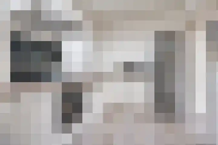 Schulpenpad 11 Sas van Gent thumbnail 7