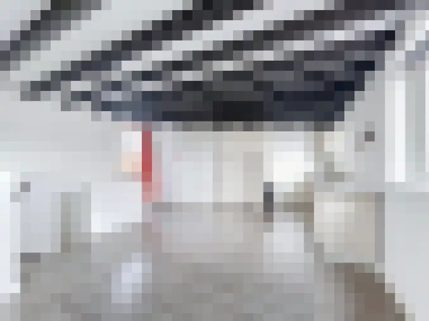 Schulpenpad 2 Sas van Gent thumbnail 11
