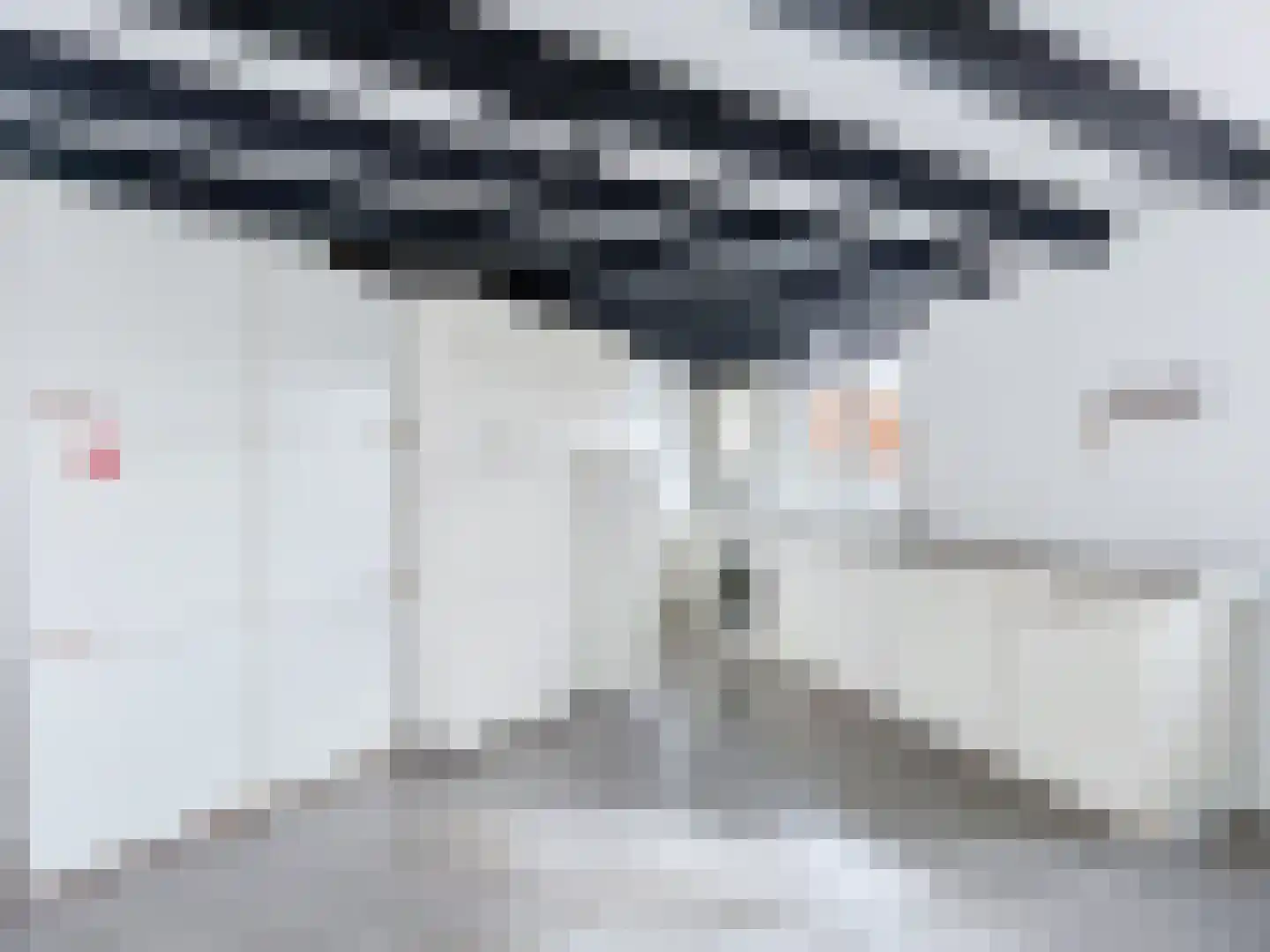 Schulpenpad 2 Sas van Gent thumbnail 13