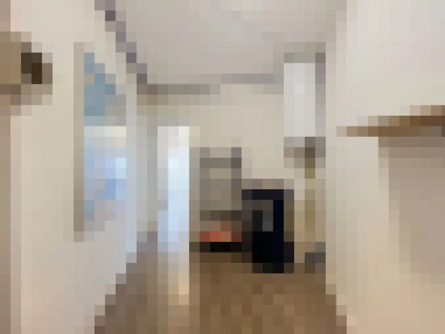 Schulpenpad 2 Sas van Gent thumbnail 16