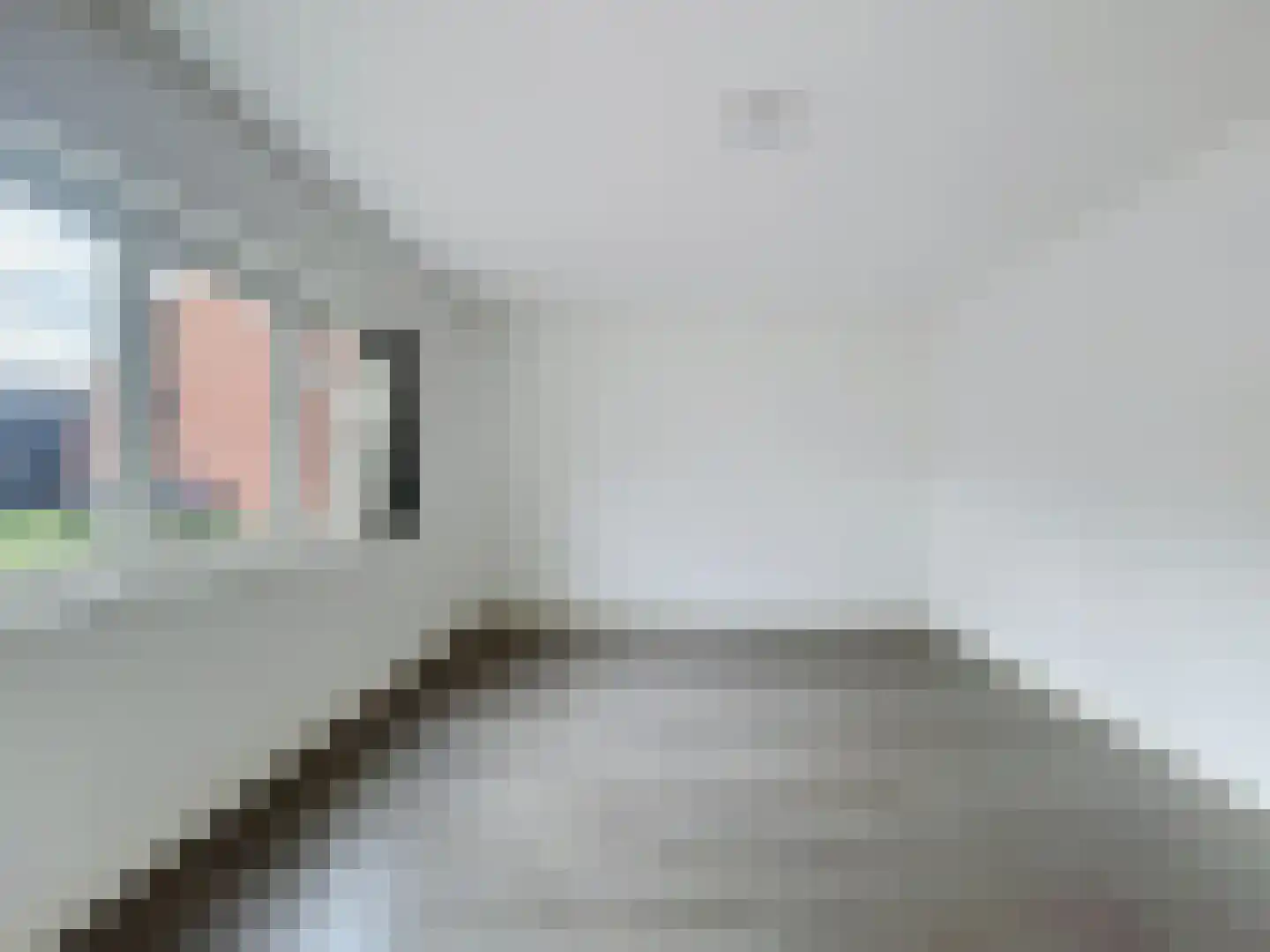 Schulpenpad 2 Sas van Gent thumbnail 21