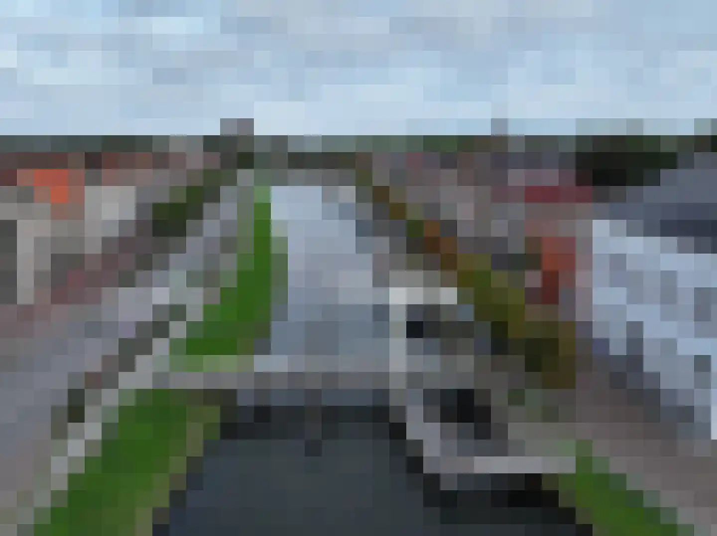 Schulpenpad 2 Sas van Gent thumbnail 27