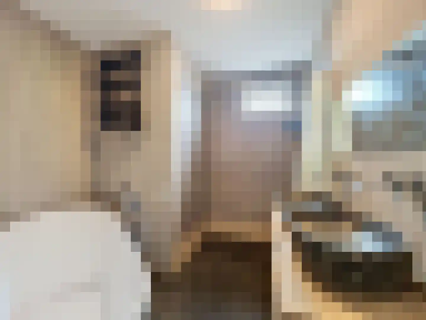 Schulpenpad 2 Sas van Gent thumbnail 4