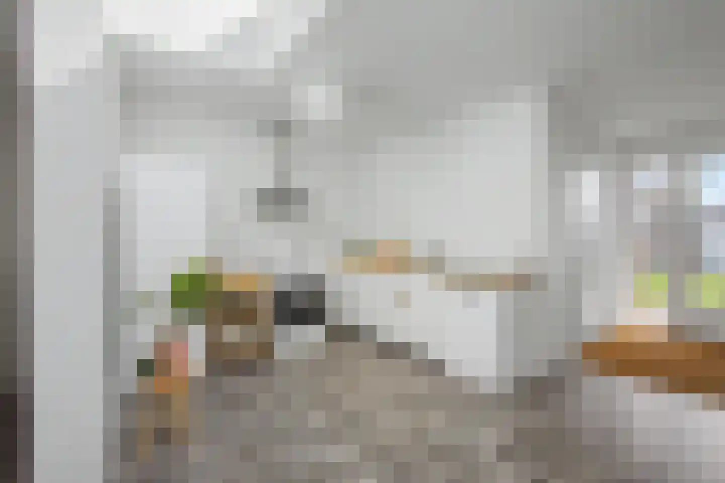 Schulpenpad 23 Sas van Gent thumbnail 12