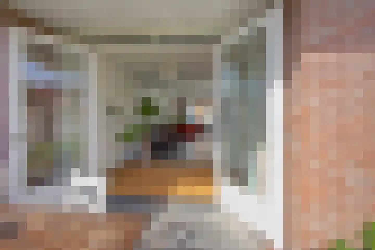 Schulpenpad 23 Sas van Gent thumbnail 14