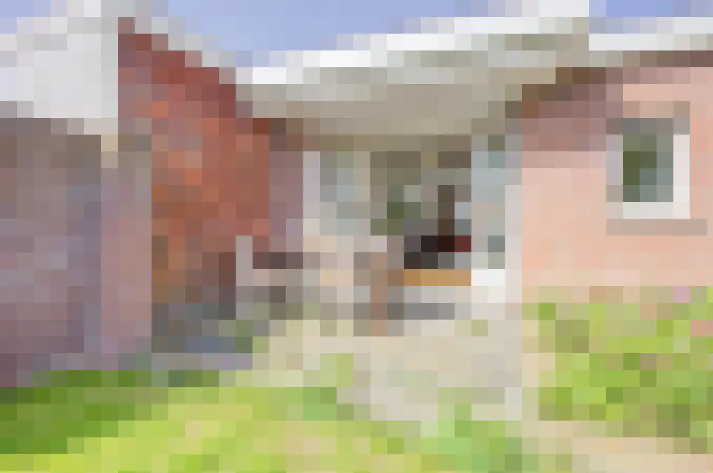 Schulpenpad 23 Sas van Gent thumbnail 28