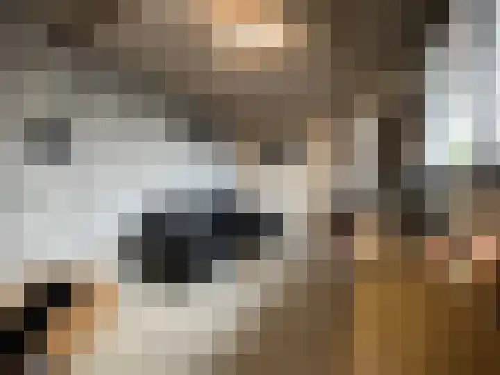 Schulpenpad 27 Sas van Gent thumbnail 11