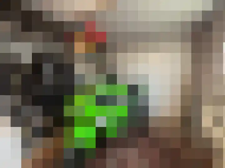 Schulpenpad 27 Sas van Gent thumbnail 12