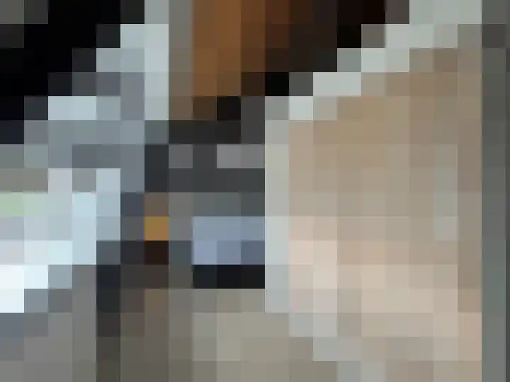 Schulpenpad 27 Sas van Gent thumbnail 13