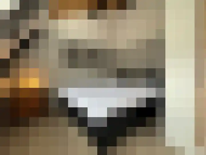 Schulpenpad 27 Sas van Gent thumbnail 14