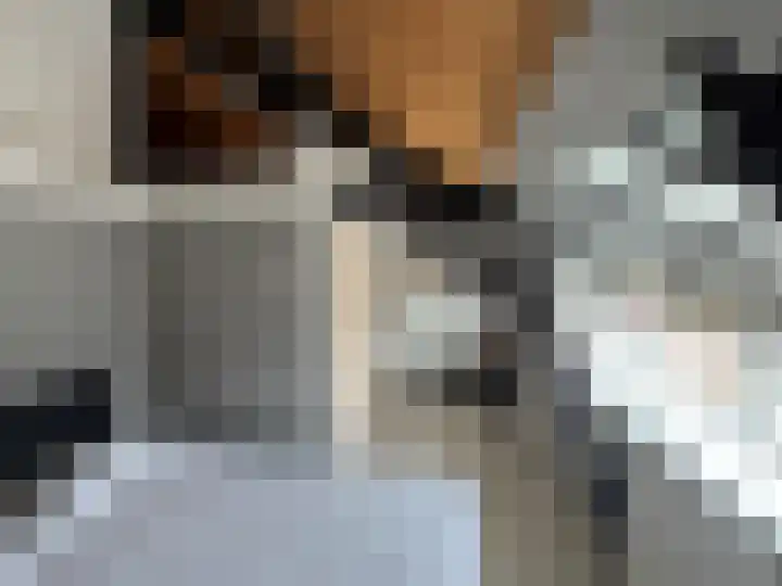 Schulpenpad 27 Sas van Gent thumbnail 15