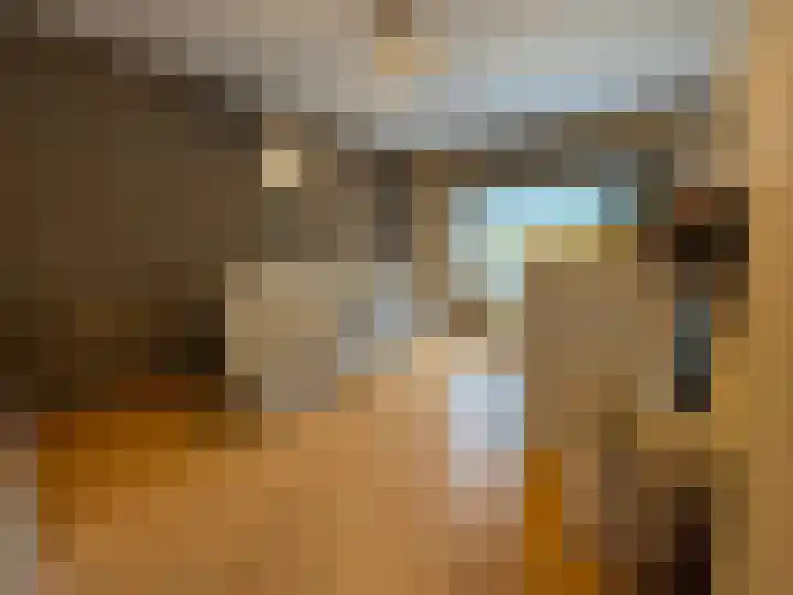 Schulpenpad 27 Sas van Gent thumbnail 17
